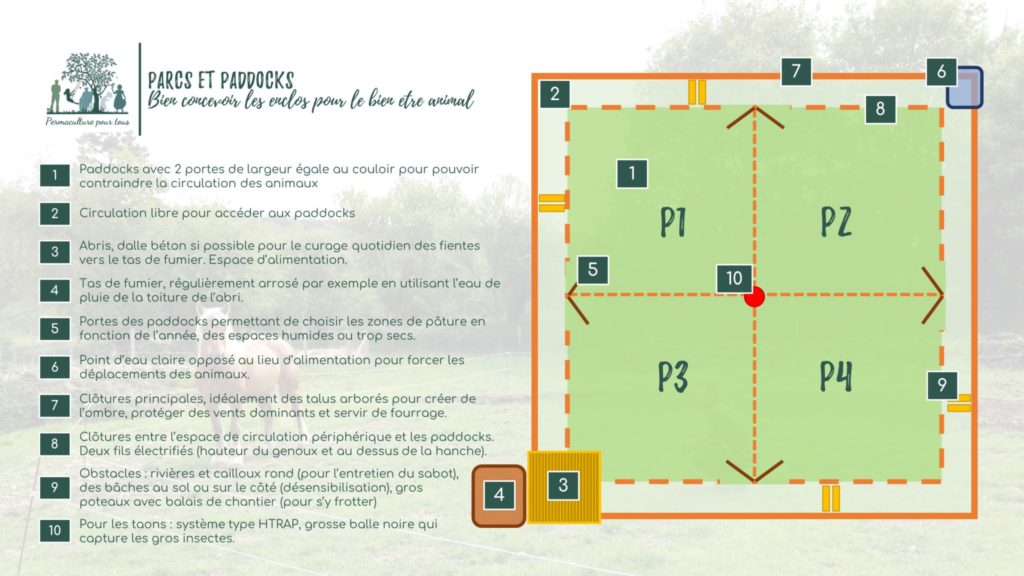 Infographie - Plan type de paddocks