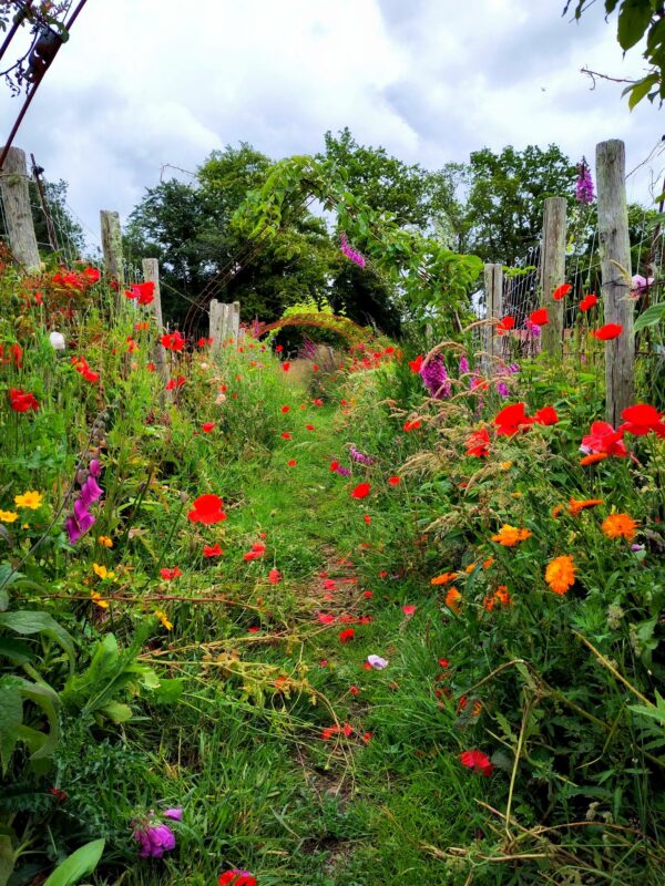 Visites techniques des jardins de la ferme de Keruzerh – Image 10